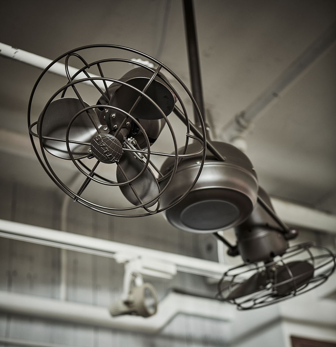 Ceiling fans