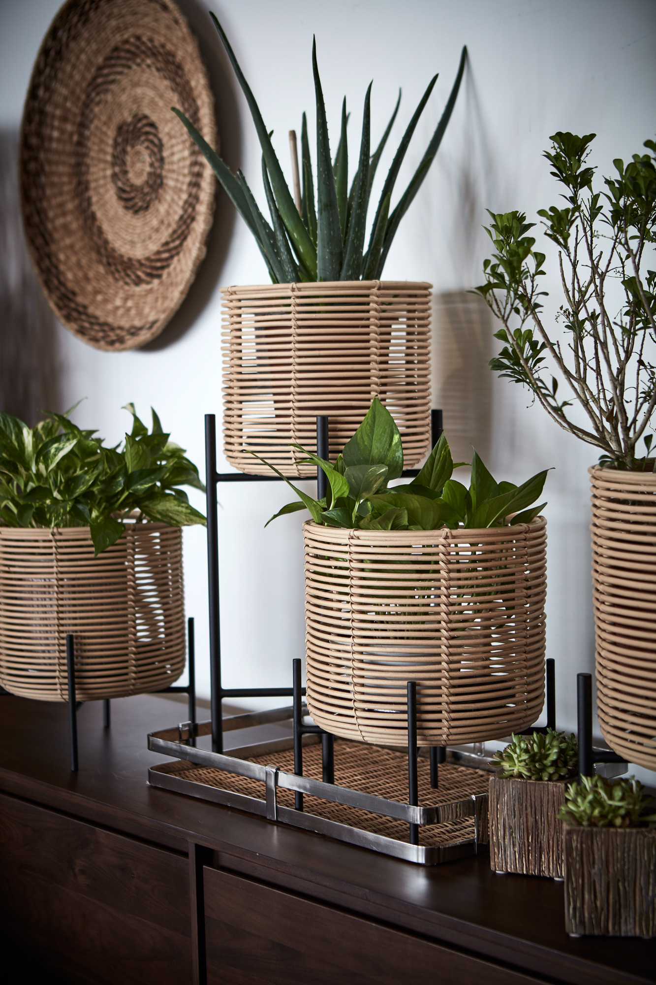 vivian plant stands