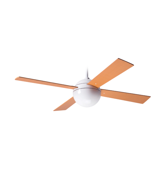 El011032 a2
