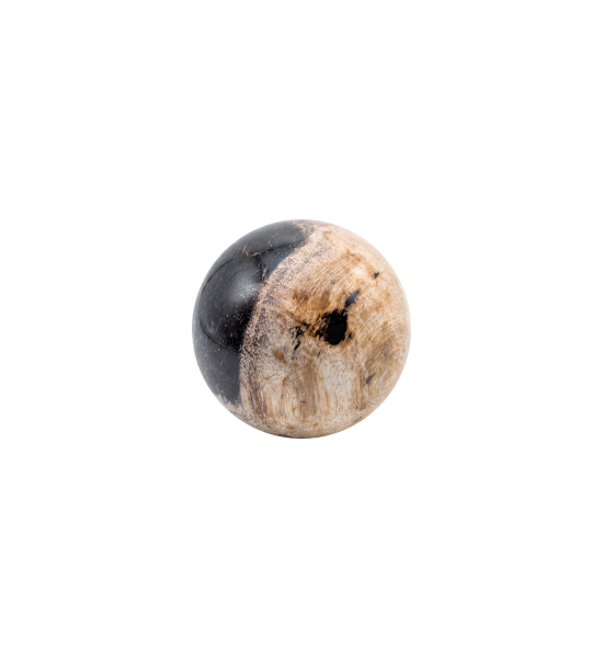 Oa010747 a
