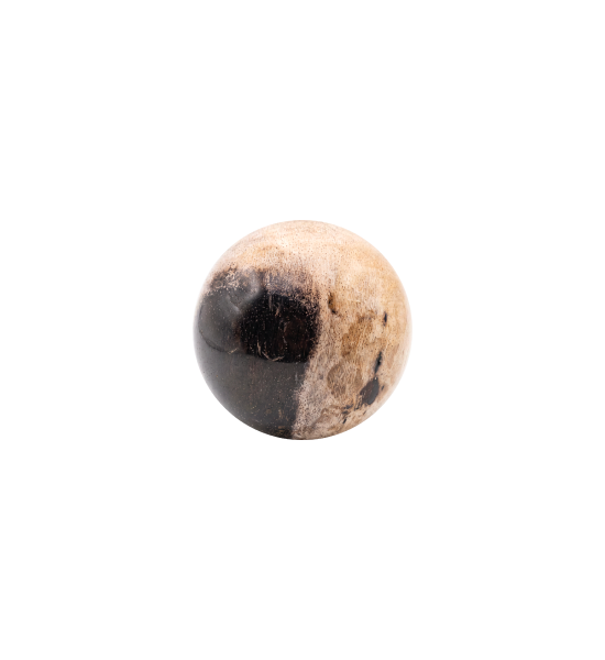 Oa010747 b