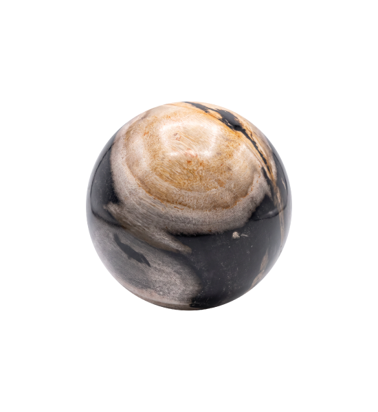 Oa010749 a