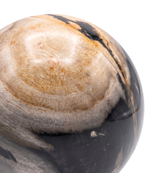 Oa010749 c