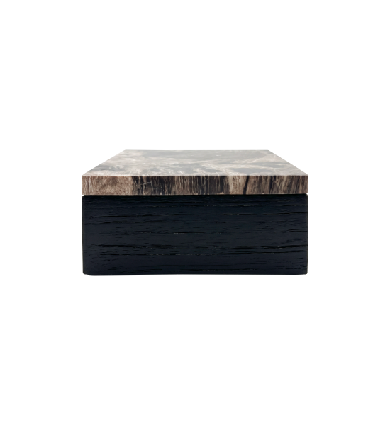 Oa010878 b