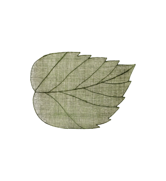 Sh010041 a