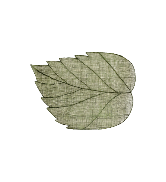 Sh010041 b